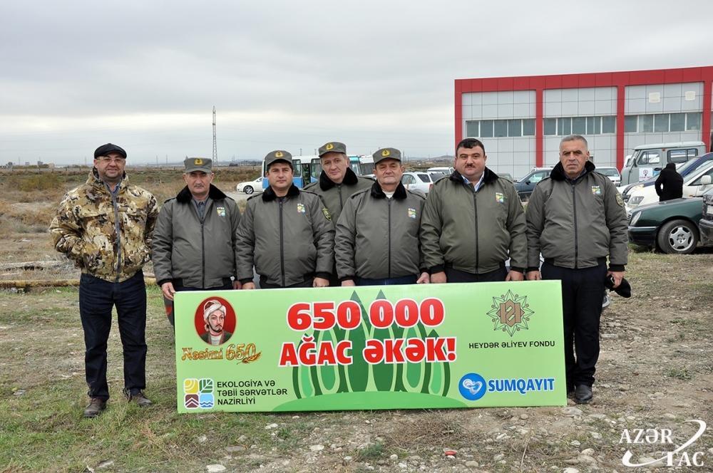 В Сумгайыте продолжается акция по высадке деревьев