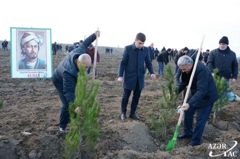 В Тертерском районе прошла акция по высадке деревьев