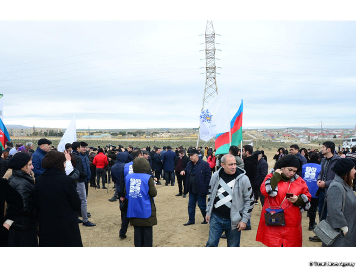 Праздник в Мушфигабаде - акция по посадке 650 тыс. деревьев, концертная программа, знаменитости