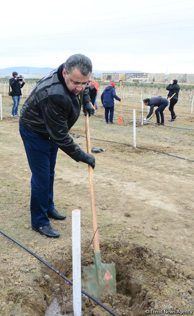 Праздник в Мушфигабаде - акция по посадке 650 тыс. деревьев, концертная программа, знаменитости