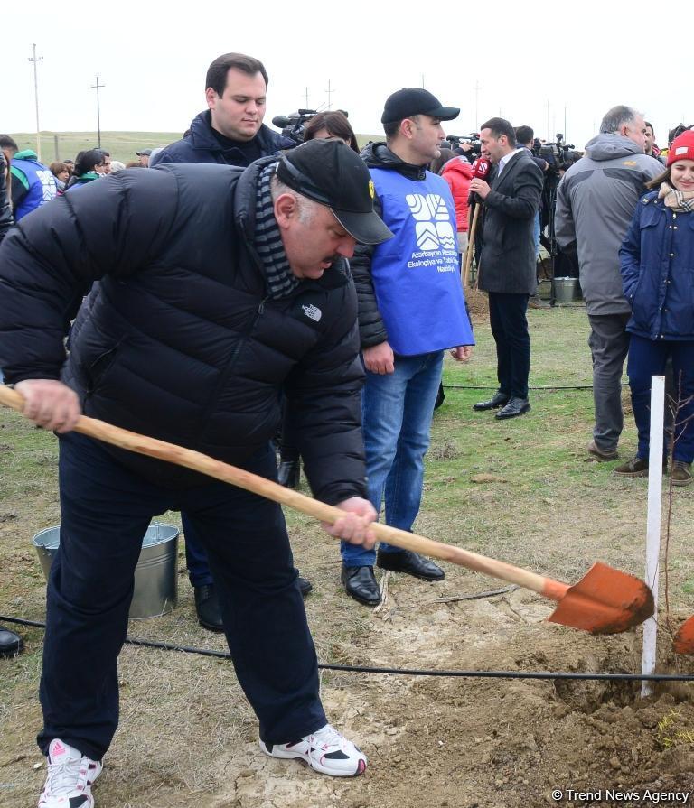 Праздник в Мушфигабаде - акция по посадке 650 тыс. деревьев, концертная программа, знаменитости