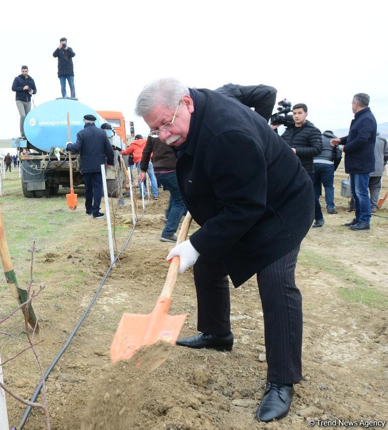 Праздник в Мушфигабаде - акция по посадке 650 тыс. деревьев, концертная программа, знаменитости