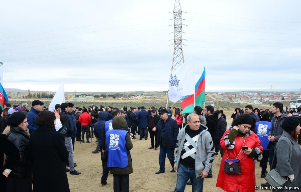 Праздник в Мушфигабаде - акция по посадке 650 тыс. деревьев, концертная программа, знаменитости