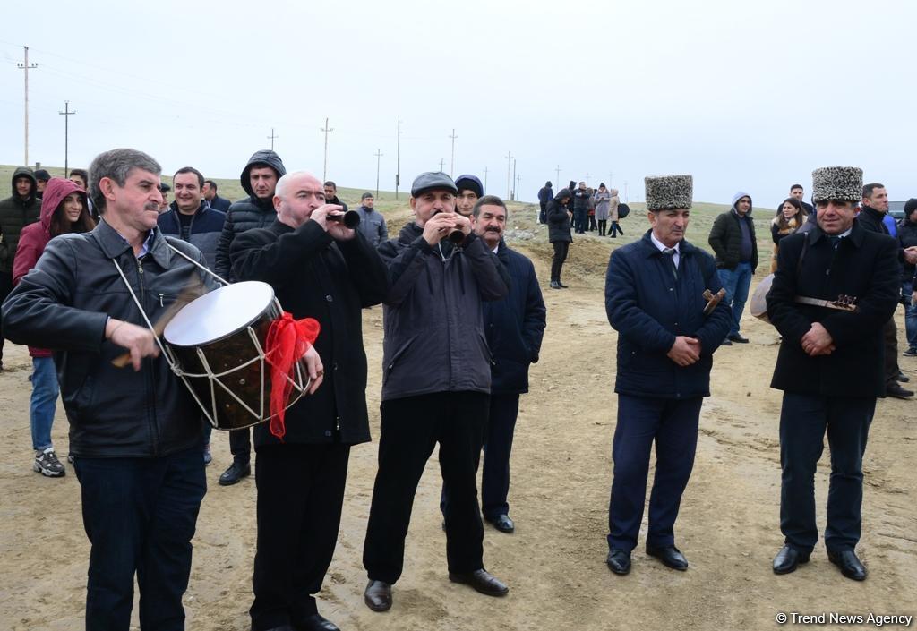 Праздник в Мушфигабаде - акция по посадке 650 тыс. деревьев, концертная программа, знаменитости