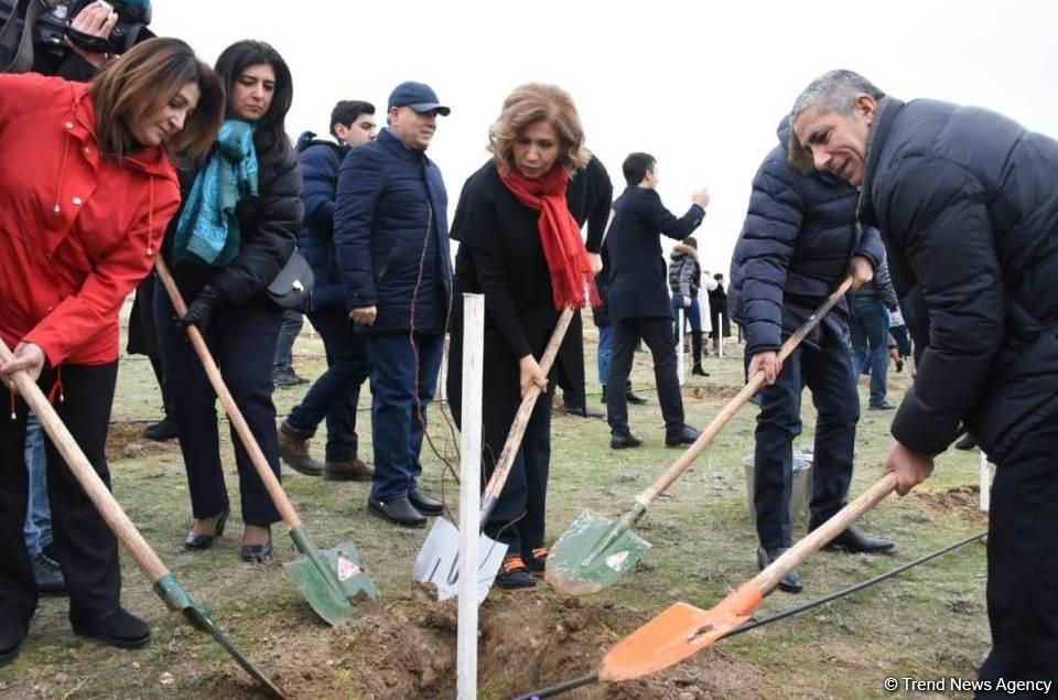 Праздник в Мушфигабаде - акция по посадке 650 тыс. деревьев, концертная программа, знаменитости