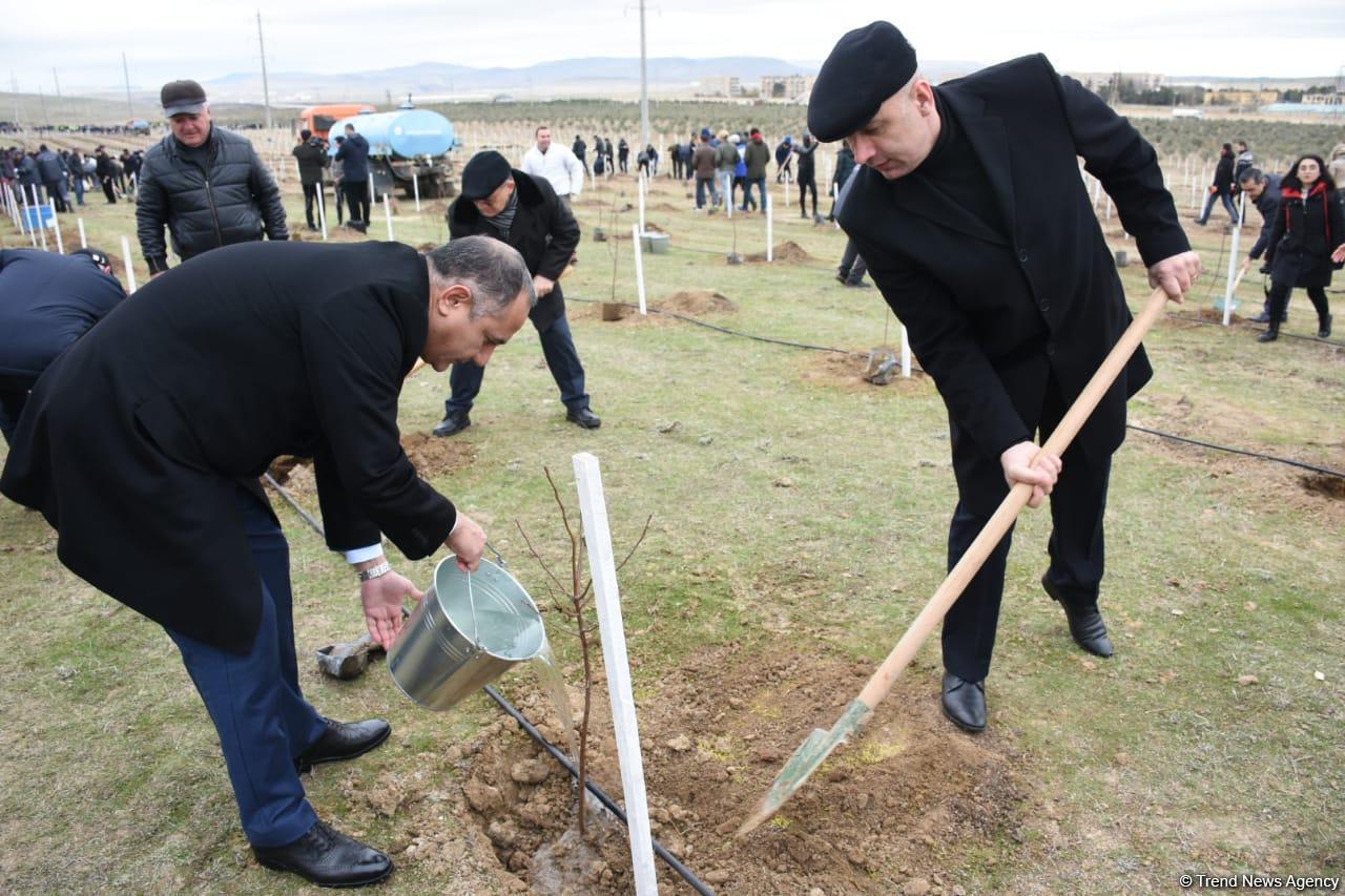 Праздник в Мушфигабаде - акция по посадке 650 тыс. деревьев, концертная программа, знаменитости
