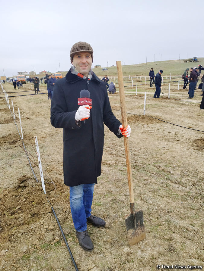 650 тысяч деревьев в день! Представьте, сколько замечательных у нас появится парков
