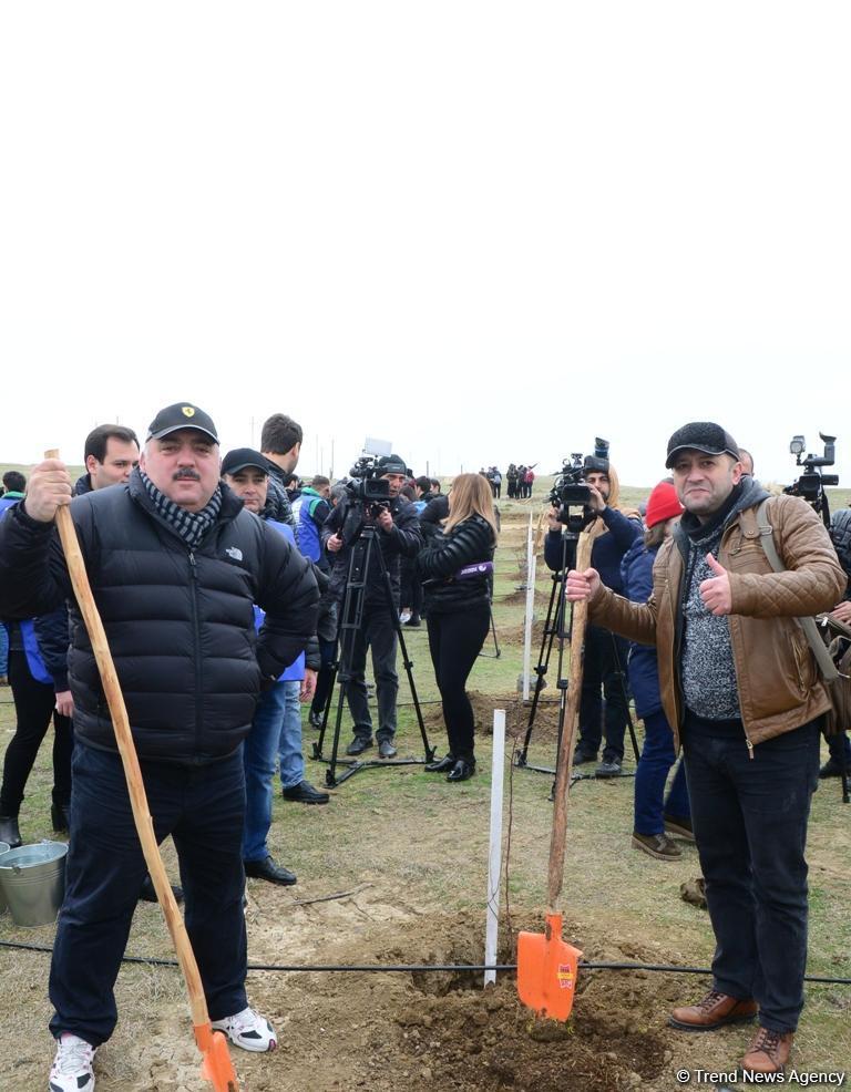Сотрудники Day.az, Trend.az, Milli.az и Azernews.az приняли участие в акции по посадке деревьев в честь 650-летия Насими