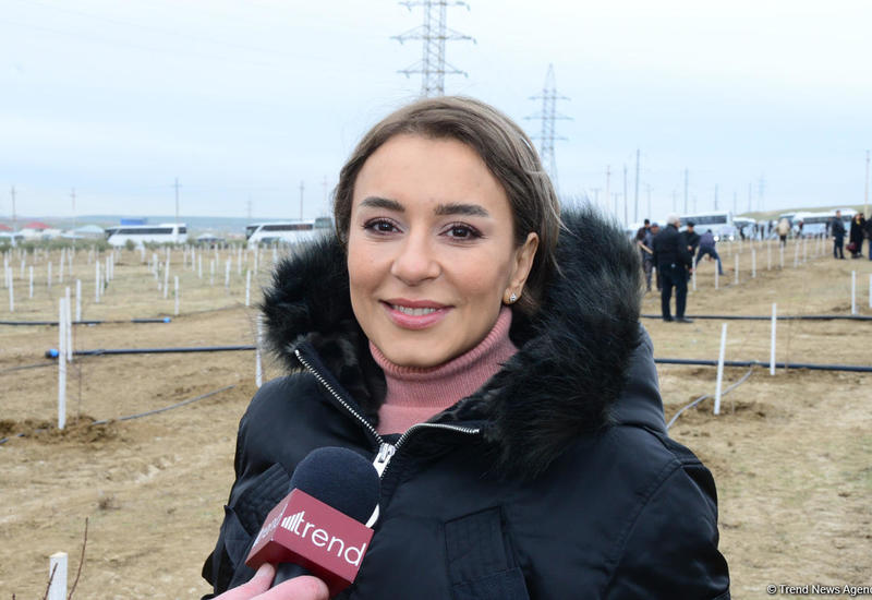 Акция увековечила память Имадеддина Насими в живой природе