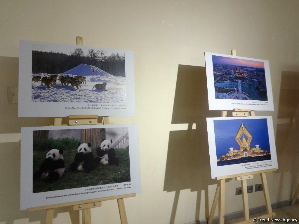 Китайские фонарики и чайная церемония: в Баку отметили Праздник весны