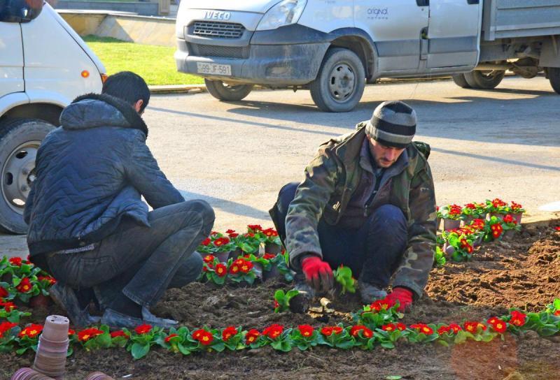 На Аллее шехидов идет подготовка к 30-й годовщине трагедии 20 Января