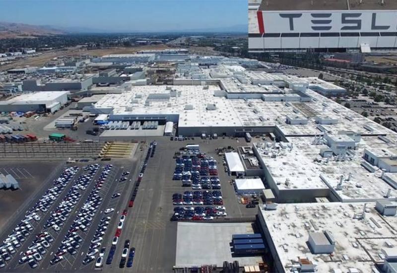 На территории будущего завода Tesla нашли семь бомб времен войны