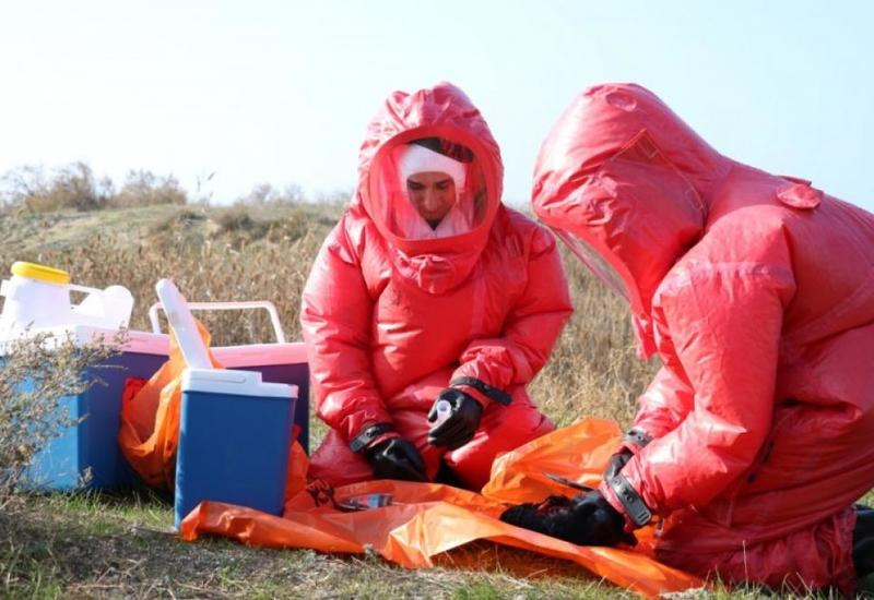 Обнародованы результаты мониторингов по птичьему гриппу в Азербайджане