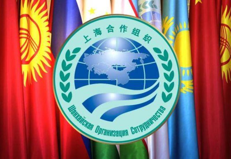 Саммит ШОС пройдет в формате видеоконференции