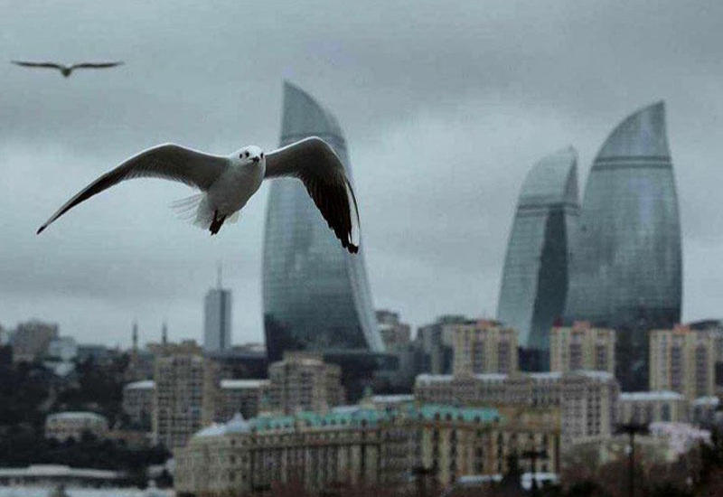 Какой будет погода завтра?