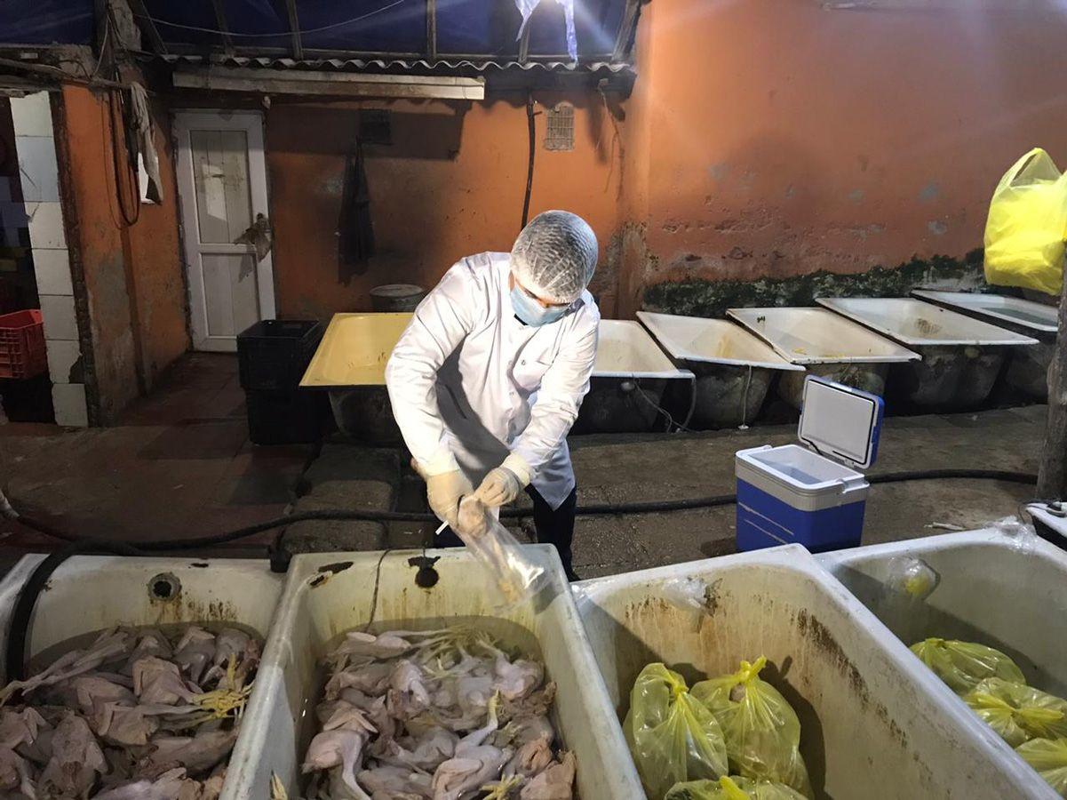 В Баку выявили незаконно действующее предприятие по переработке куриного мяса