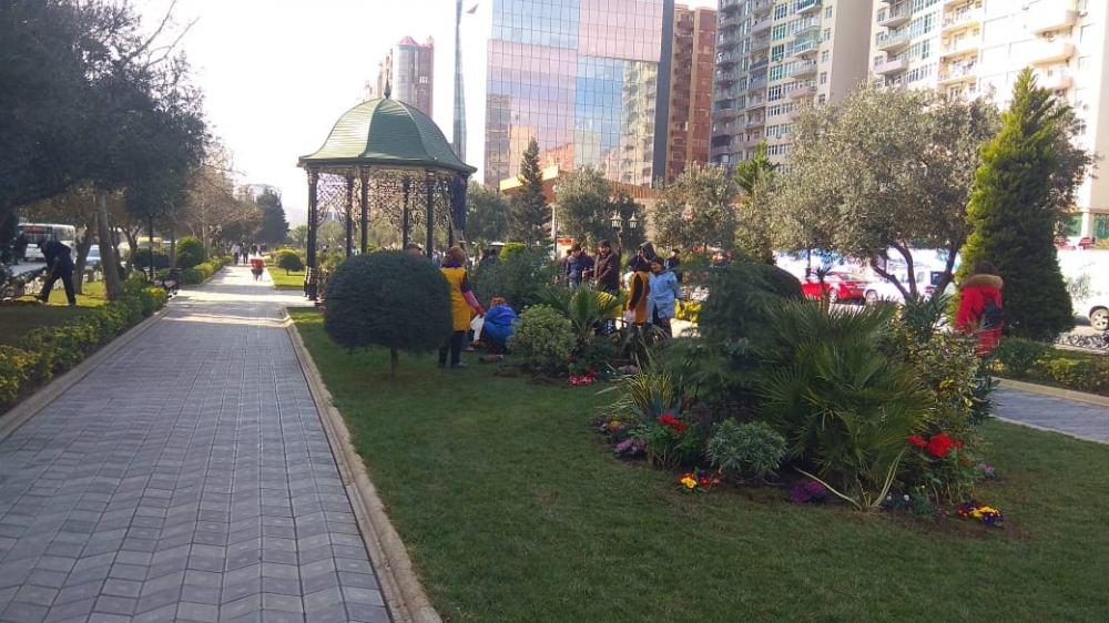 В парке Ходжалы проводятся работы по благоустройству