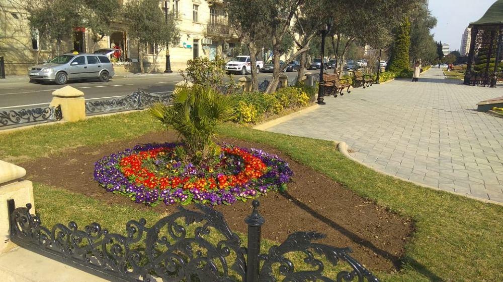 В парке Ходжалы проводятся работы по благоустройству