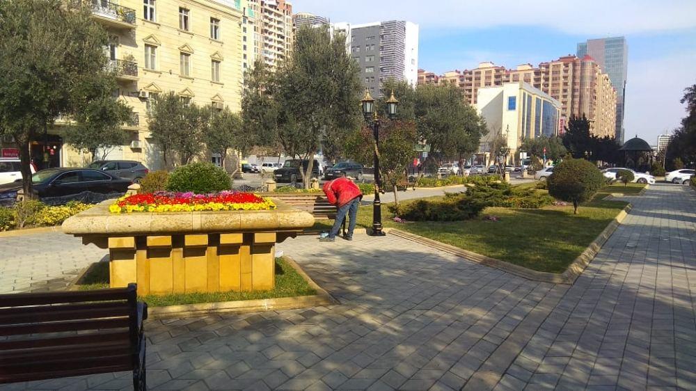 В парке Ходжалы проводятся работы по благоустройству