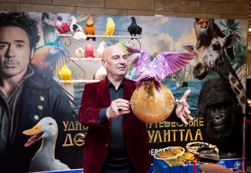 В CinemaPlus состоялся предпремьерный показ фильма "Удивительное путешествие доктора Дулиттла"