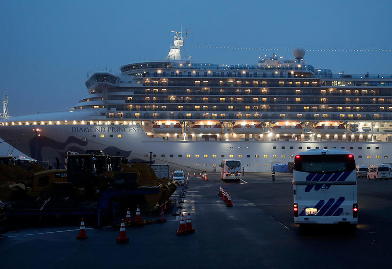 У отпущенной с Diamond Princess японки выявили коронавирус