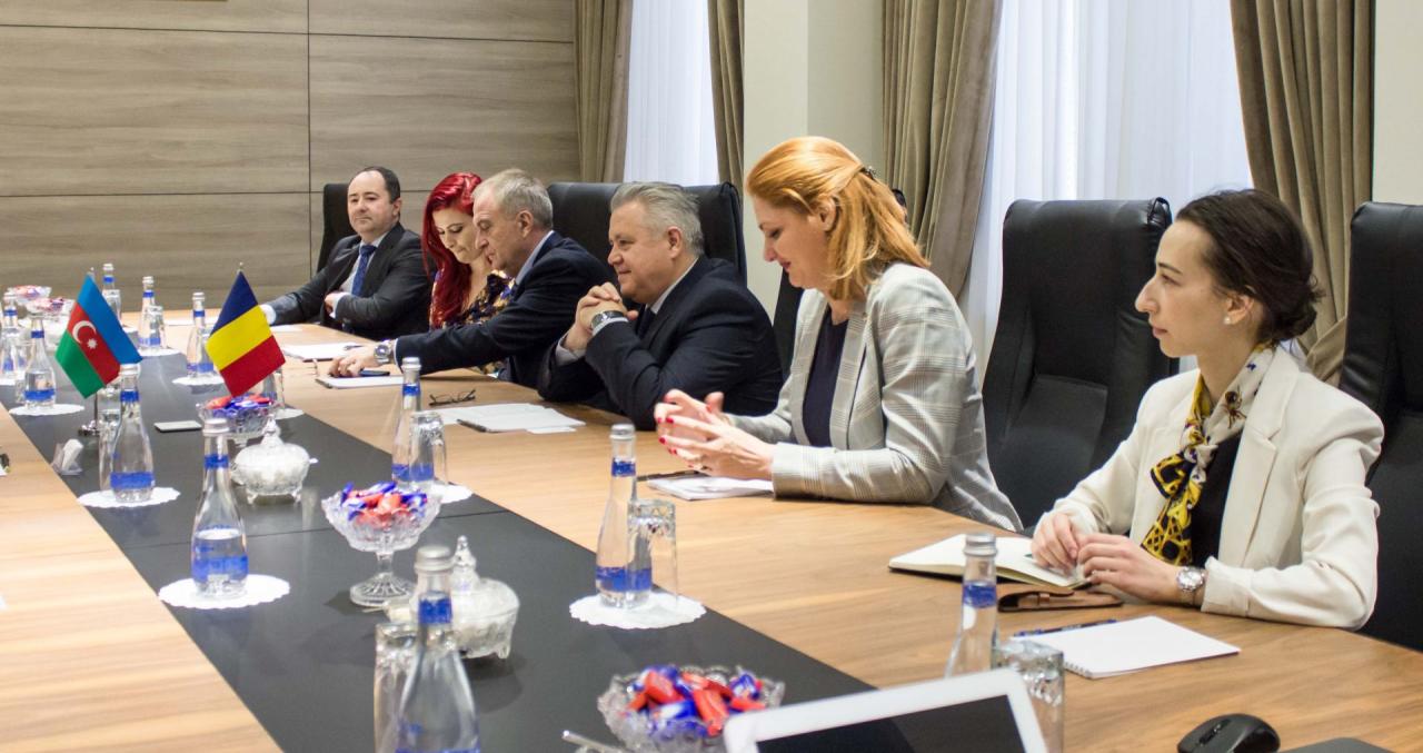 В Баку обсуждены возможности присоединения Румынии к "Южному газовому коридору"