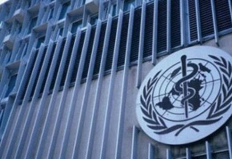 ВОЗ назвал число случаев оспы обезьян