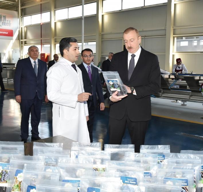 Президент Ильхам Алиев принял участие в церемонии открытия комплекса ASAN Həyat в Товузе
