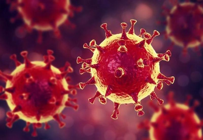 Koronavirus günbəgün insan bədənində görün nələr edir
