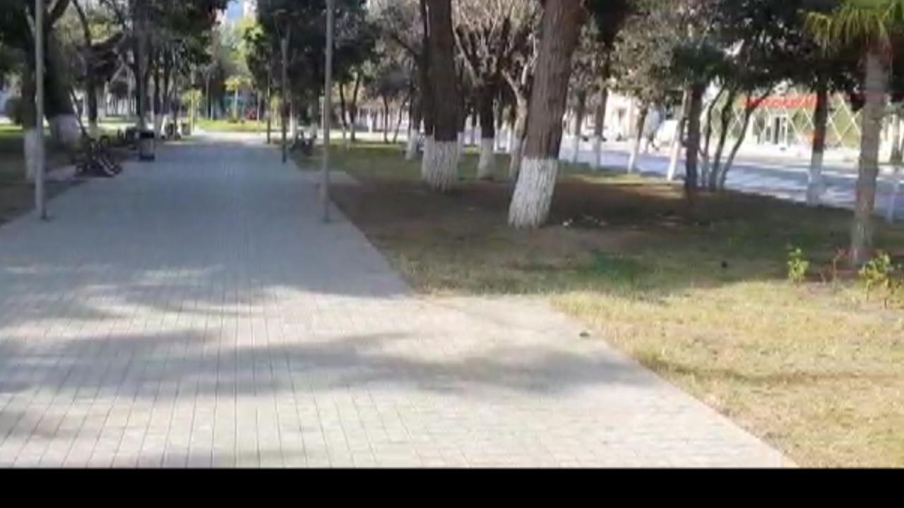 В Сумгайыте за нарушение особого карантинного режима оштрафованы около 100 человек