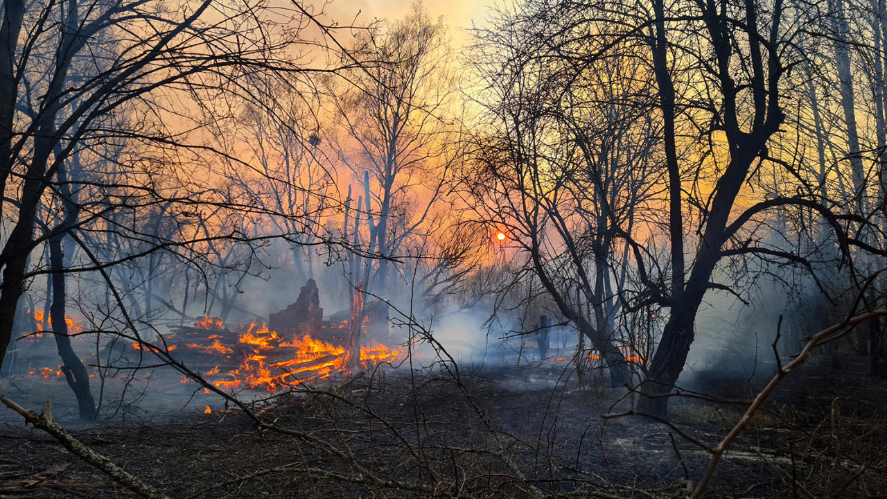 Уровень радиации превышен в 16 раз: что происходит у Чернобыля