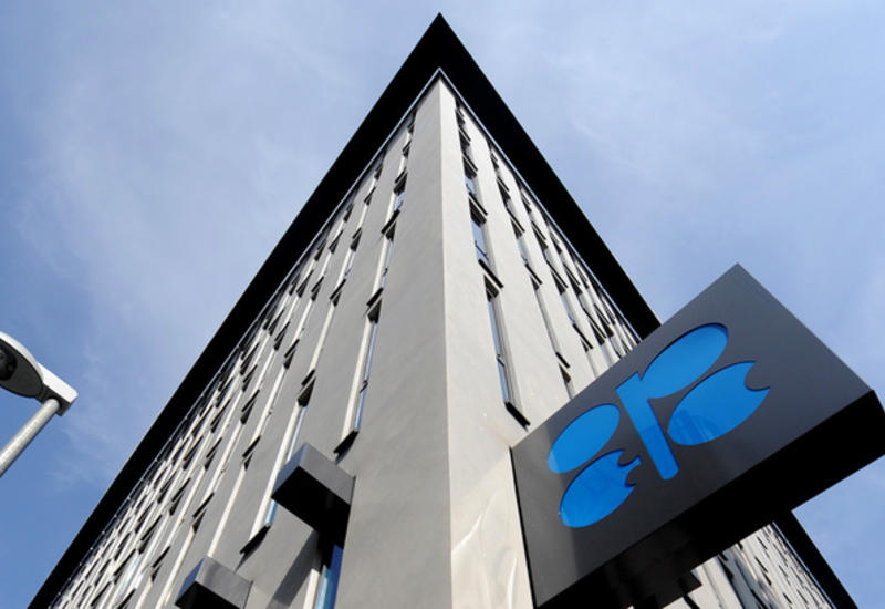 Bloomberg сообщает о подготовленных ОПЕК вариантах сокращения добычи нефти