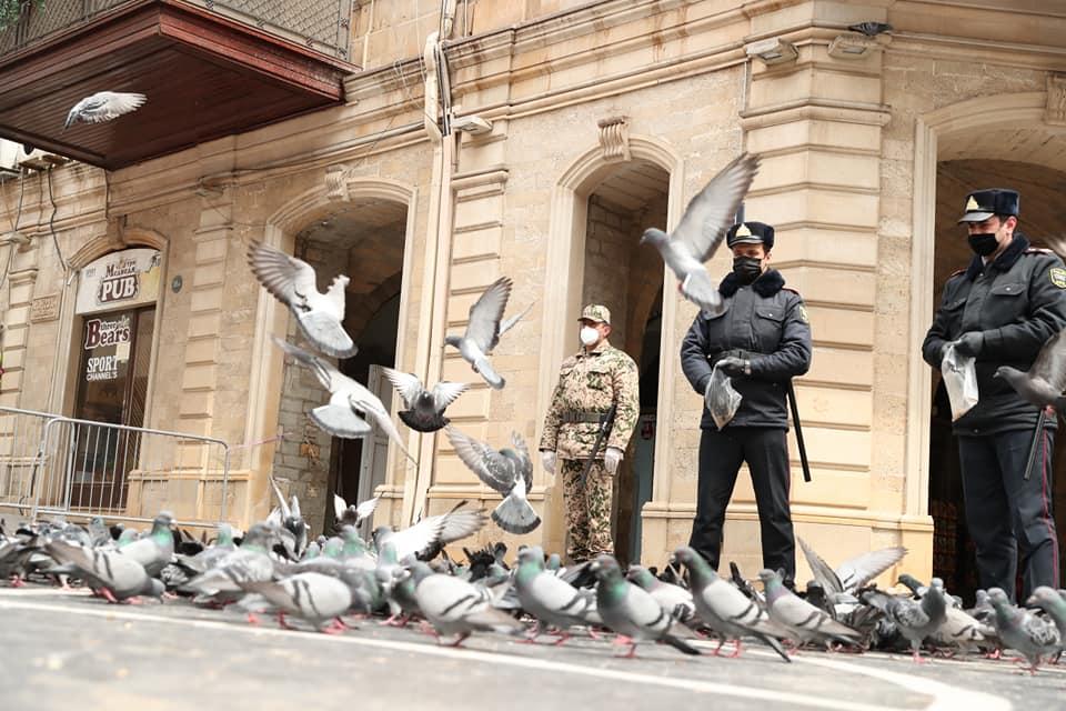 "Оставайтесь дома, мы о них позаботимся"