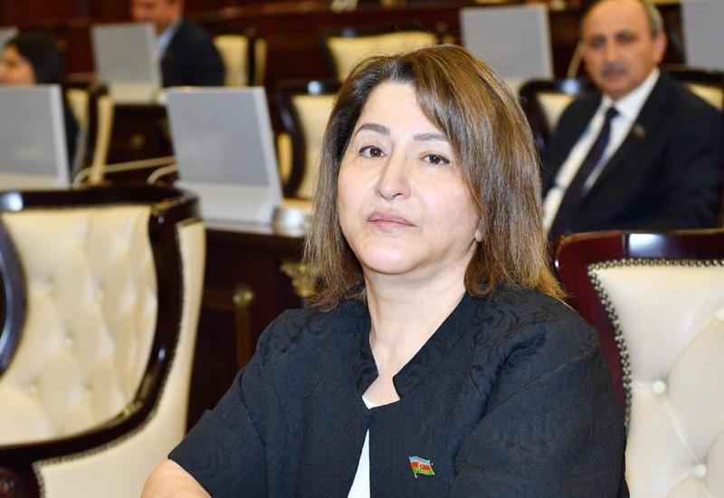 Həmsədrlər işğalçının arxayınlaşaraq daha böyük təhlükəyə çevrilməsinə zəmin yaradırlar
