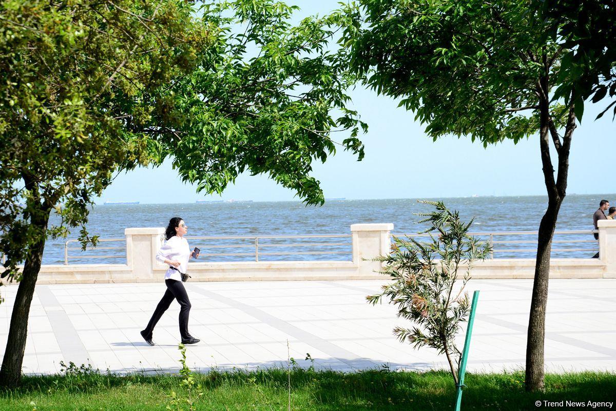 Бакинский бульвар после смягчения карантина