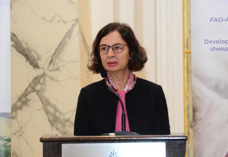 Глава офиса FAO о перспективах сотрудничества с Азербайджаном на ближайшие годы