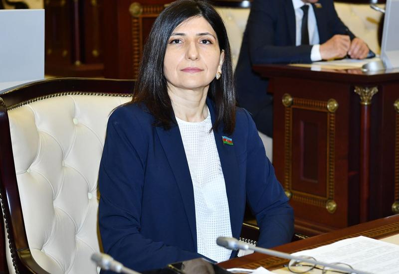 Севиль Микаилова: Выдвинутые Президентом Ильхамом Алиевым инициативы по внедрению интеллектуальных систем станут качественно новым этапом в развитии страны