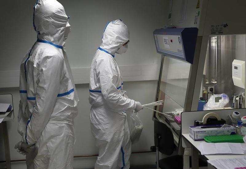 Ученые создали инструмент для быстрой сборки генома вируса