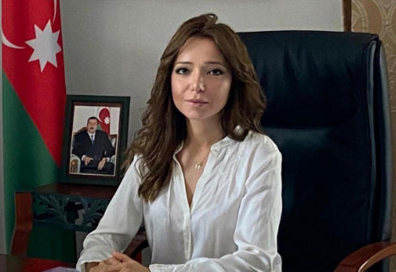 “Yazılan məlumatların hamısı şər və böhtan xarakterlidir”