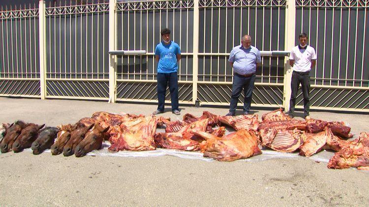 В Азербайджане задержана группировка, пытавшаяся продать 4 тонны конины под видом говядины