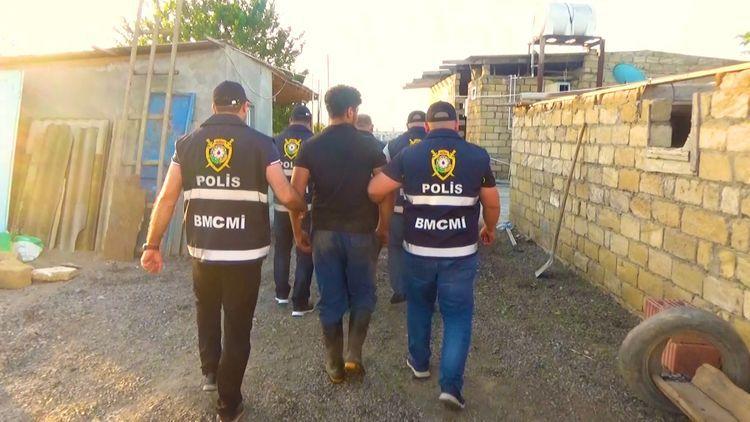 В Азербайджане задержана группировка, пытавшаяся продать 4 тонны конины под видом говядины