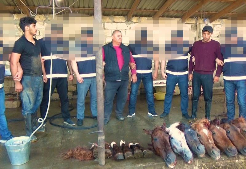 Bakıda leş əti satan şəxslər həbs edildi