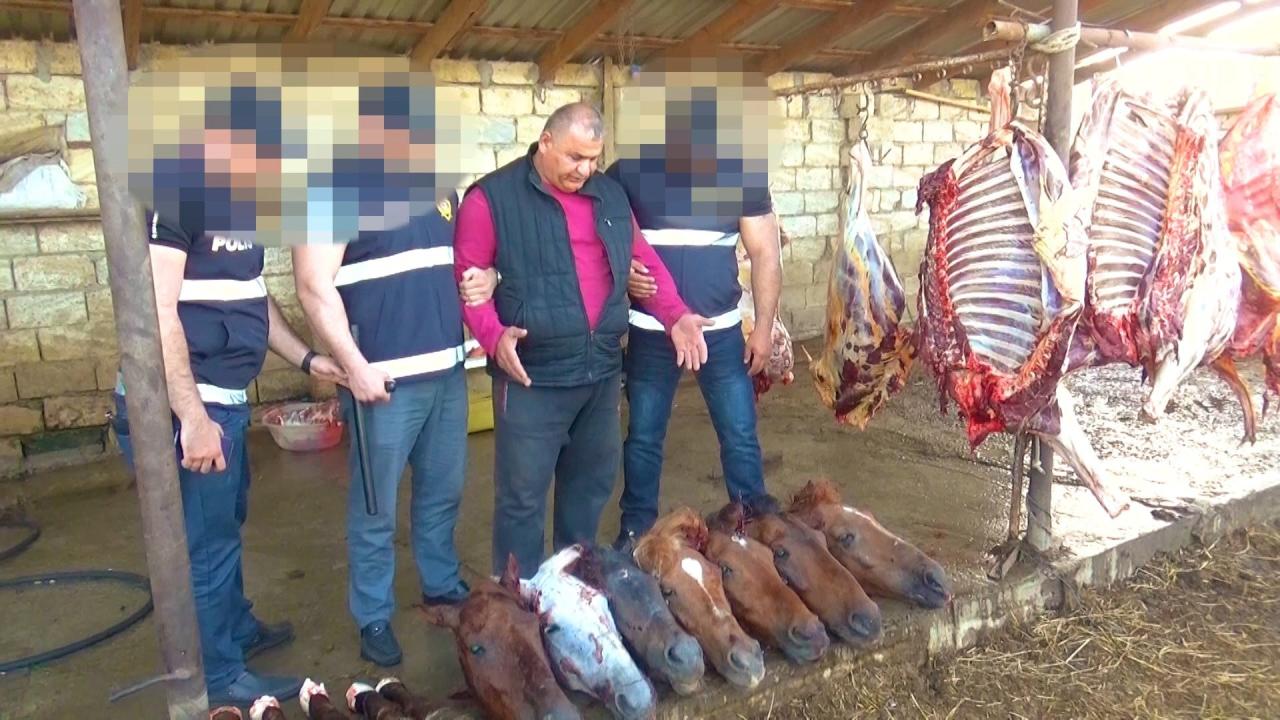 Bakıda leş əti satan şəxslər həbs edildi