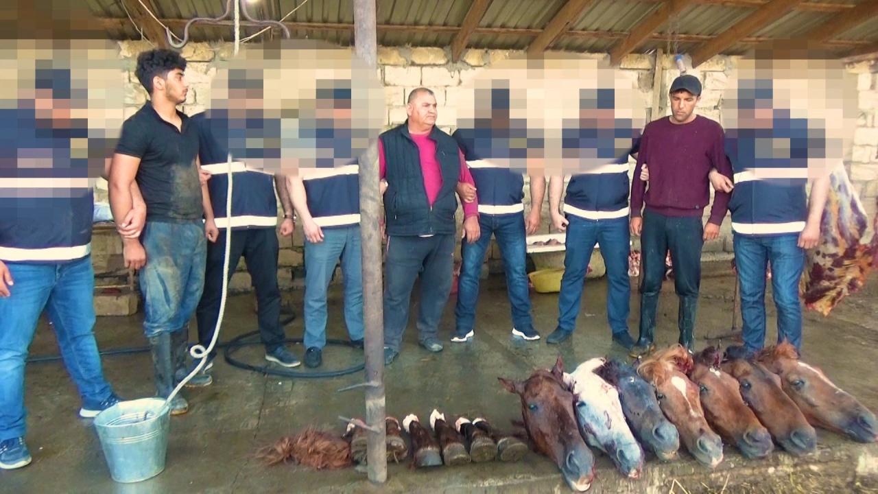 Bakıda leş əti satan şəxslər həbs edildi