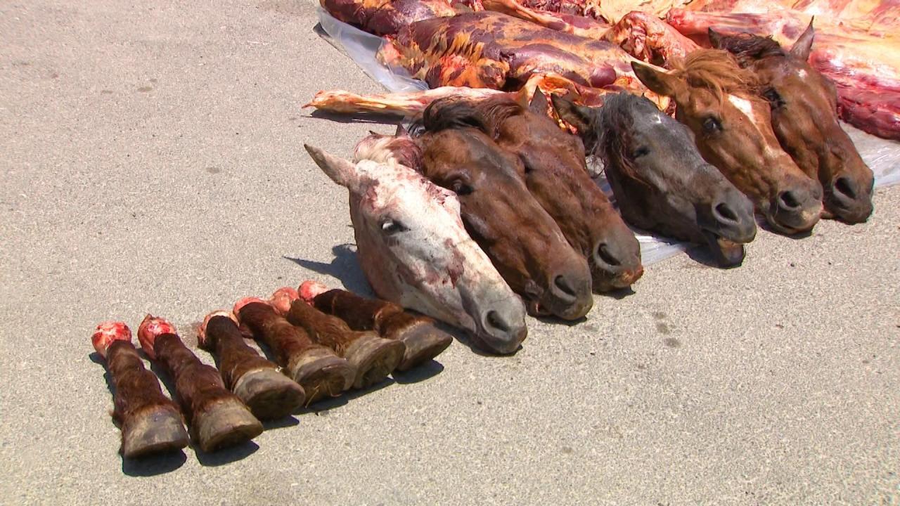 Bakıda leş əti satan şəxslər həbs edildi