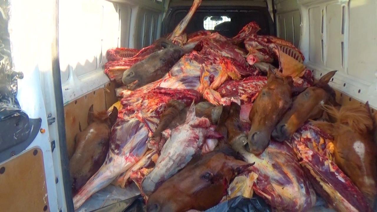 Bakıda leş əti satan şəxslər həbs edildi
