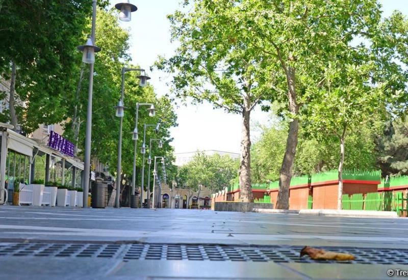 TƏBİB-dən sərtləşdirilmiş karantin rejimi ilə bağlı