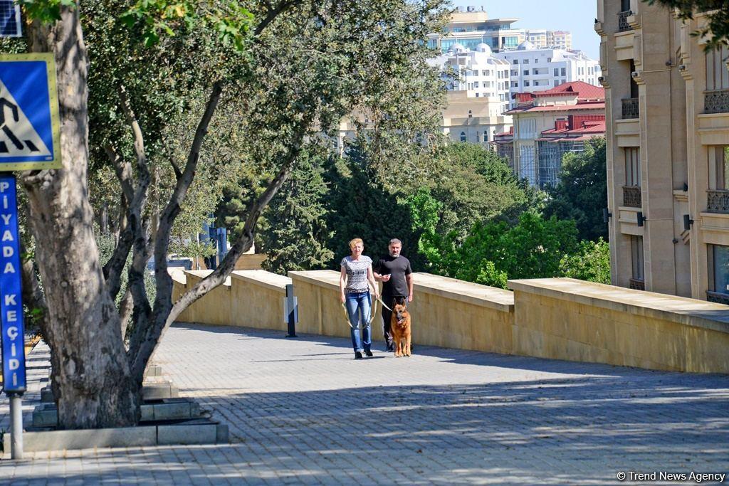 Опустевший Баку: Невероятные кадры города в первый день жесткого карантина