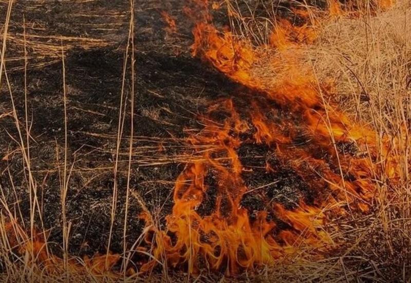 Возбуждено уголовное дело в связи с пожарами, совершенными армянами из белых фосфорных снарядов