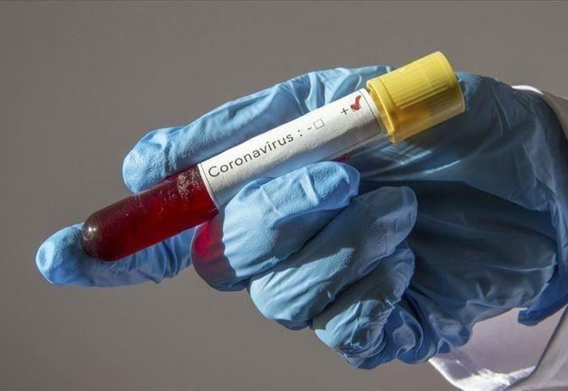 Азербайджан и Италия будут сотрудничать в борьбе с COVID-19